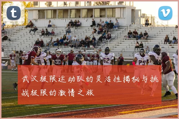 武汉极限运动队的灵活性揭秘与挑战极限的激情之旅