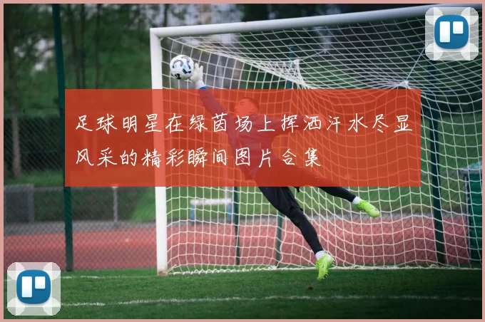 足球明星在绿茵场上挥洒汗水尽显风采的精彩瞬间图片合集