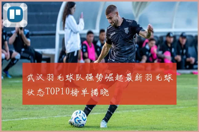 武汉羽毛球队强势崛起最新羽毛球状态TOP10榜单揭晓