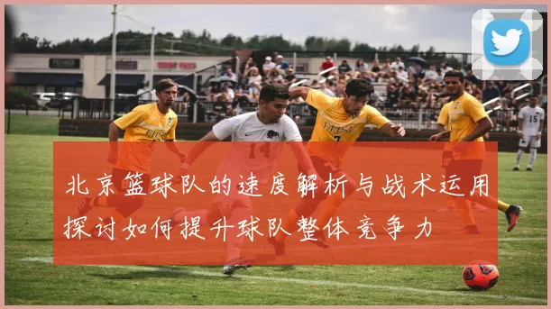 北京篮球队的速度解析与战术运用探讨如何提升球队整体竞争力