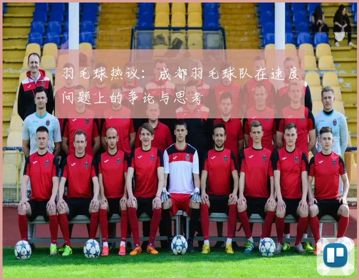 羽毛球热议：成都羽毛球队在速度问题上的争论与思考