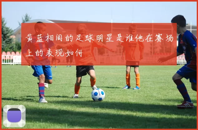 黄蓝相间的足球明星是谁他在赛场上的表现如何