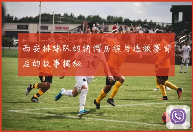 西安排球队的拼搏历程与选拔赛背后的故事揭秘