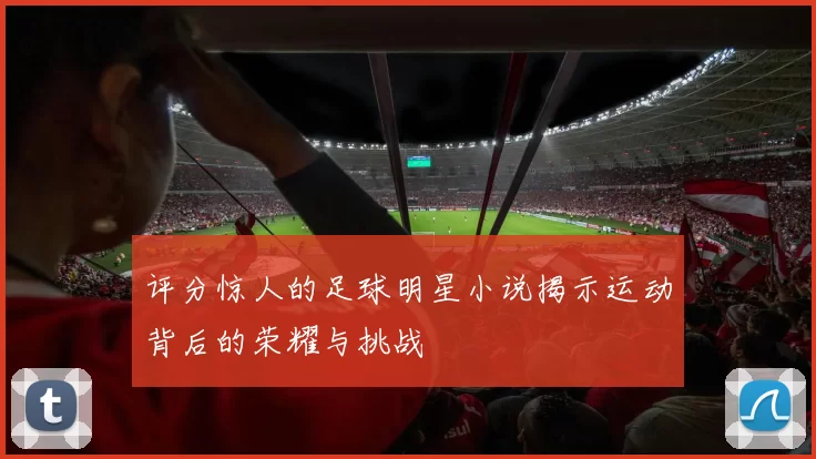 评分惊人的足球明星小说揭示运动背后的荣耀与挑战