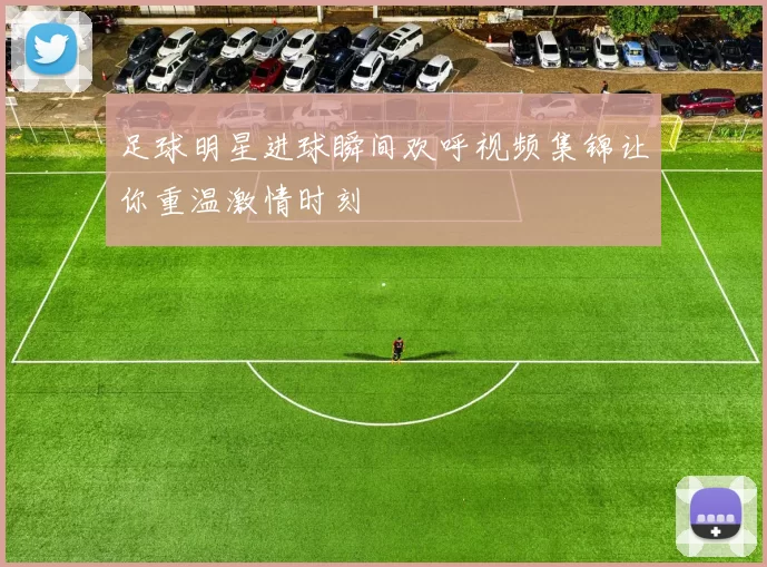 足球明星进球瞬间欢呼视频集锦让你重温激情时刻