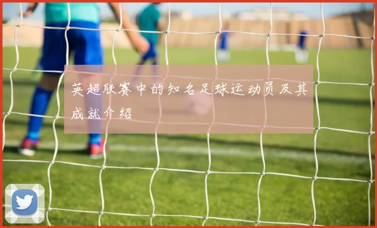 英超联赛中的知名足球运动员及其成就介绍