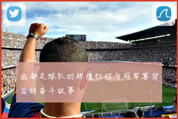 成都足球队的辉煌征程与冠军赛背后的奋斗故事