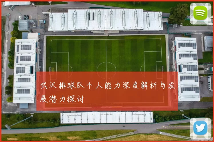武汉排球队个人能力深度解析与发展潜力探讨