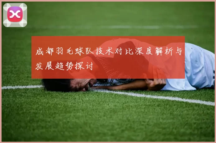 成都羽毛球队技术对比深度解析与发展趋势探讨
