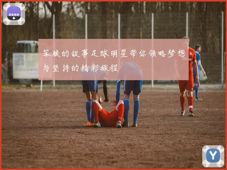 笨狼的故事足球明星带你领略梦想与坚持的精彩旅程