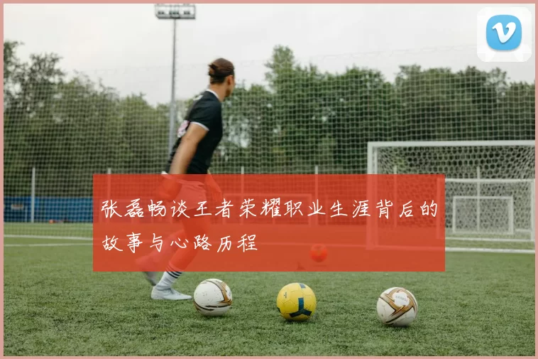 张磊畅谈王者荣耀职业生涯背后的故事与心路历程