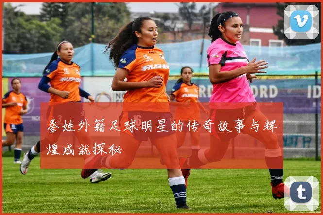 秦姓外籍足球明星的传奇故事与辉煌成就探秘