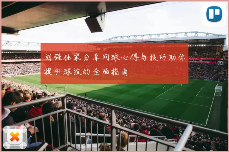 刘强独家分享网球心得与技巧助你提升球技的全面指南