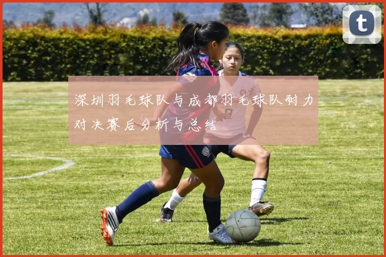 深圳羽毛球队与成都羽毛球队耐力对决赛后分析与总结