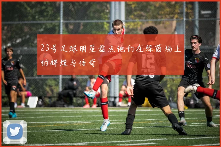 23号足球明星盘点他们在绿茵场上的辉煌与传奇
