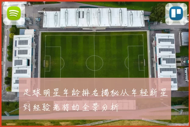 足球明星年龄排名揭秘从年轻新星到经验老将的全景分析