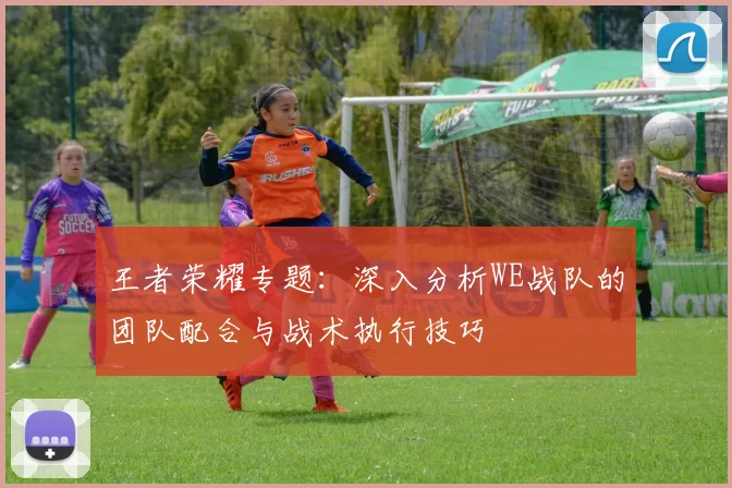 王者荣耀专题：深入分析WE战队的团队配合与战术执行技巧