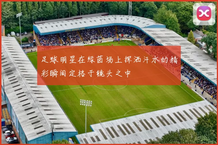 足球明星在绿茵场上挥洒汗水的精彩瞬间定格于镜头之中