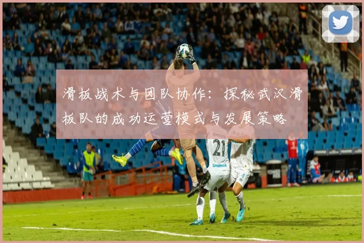 滑板战术与团队协作：探秘武汉滑板队的成功运营模式与发展策略