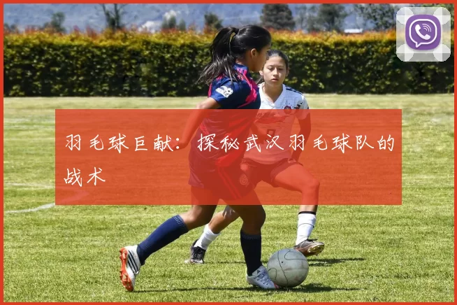 羽毛球巨献：探秘武汉羽毛球队的战术
