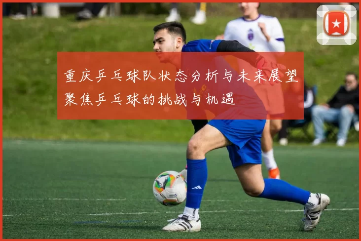 重庆乒乓球队状态分析与未来展望聚焦乒乓球的挑战与机遇